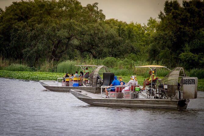 Half Day Private Swamp Experience in Louisiana - Key Points
