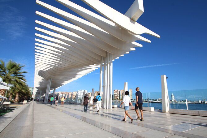 Half-Day Private Taxi Tour to Malaga Historic Center - Who Will Appreciate This Tour?