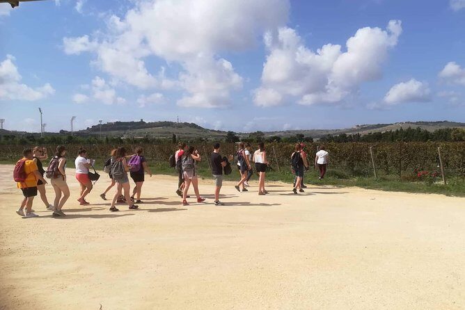 Half Day Private Tour Around Malta - Authentic Experiences Drawn from Reviews