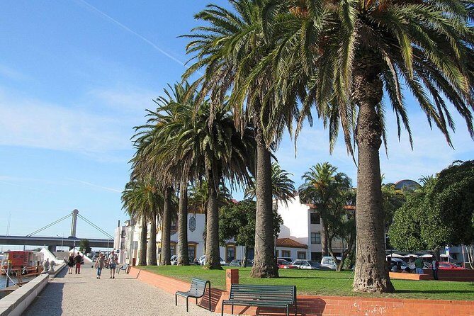 Half-Day Private Tour in Aveiro and Costa Nova - Who Should Consider This Tour?