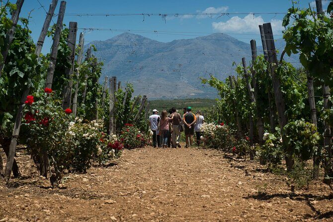 Half-Day Private Tour in Two Wineries and Archanes from Heraklion - Analyzing the Pricing and Overall Value