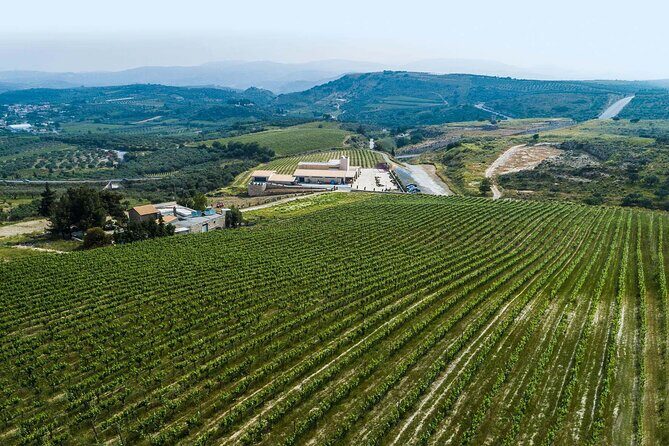 Half-Day Private Tour in Two Wineries and Archanes from Heraklion - The Experience from a Traveler’s Perspective