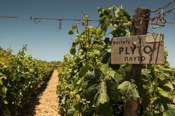 Half-Day Private Tour in Two Wineries and Archanes from Heraklion - Who Will Love This Tour?