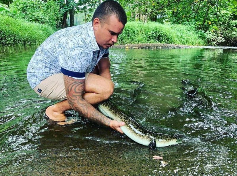 Half day Private tour of Moorea Safari Albert Pick up hotel - Key Points