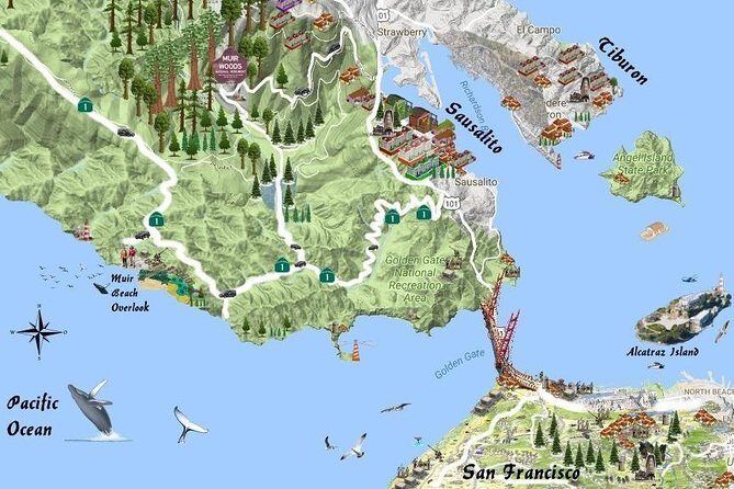 Half-Day Private Tour of Muir Woods & Sausalito from San Francisco - What Makes This Tour Stand Out?