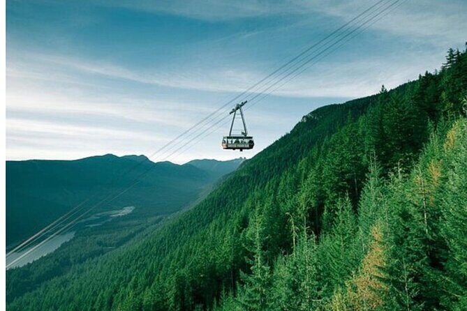 Half Day Private Tour of Sea to Sky Gondola and Shannon Falls - Who Will Love This Tour?