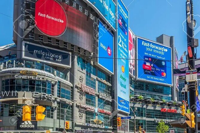 Half-Day Private Tour of Toronto with Pick Up - Who Should Consider This Tour?