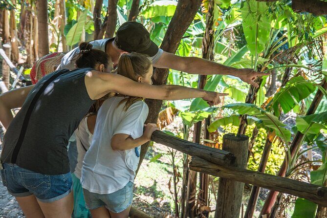 Half Day Private Tour to Botanical Garden in Chania - Exploring the Botanical Garden in Chania: An Authentic Nature Retreat