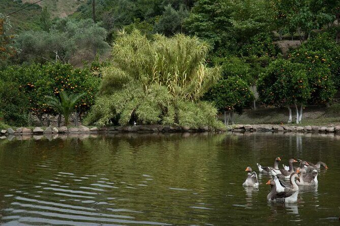 Half Day Private Tour to Botanical Garden in Chania - Who Will Love This Tour?