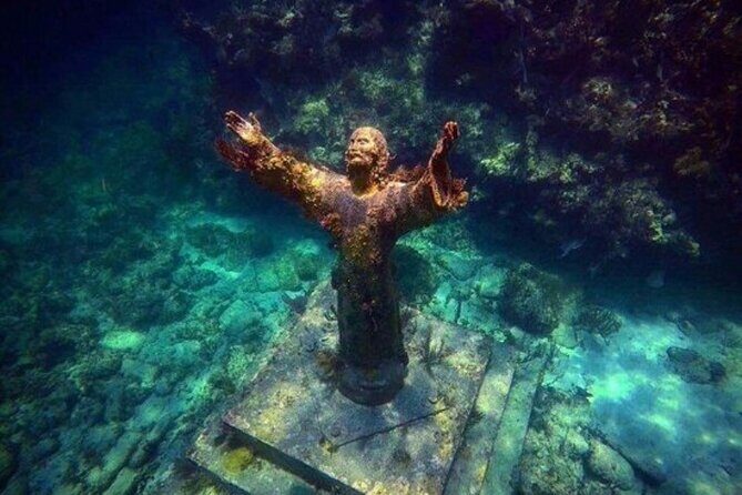 Half Day Private Tour to Islamorada Alligator Reef and Sandbar - A Deep Dive into the Experience