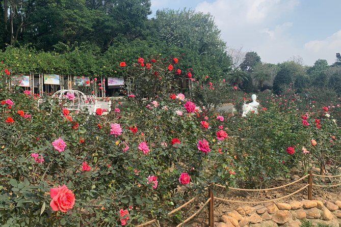 Half Day Private Tour to Yuntai Garden and Baiyun Mountain in Guangzhou - Authentic Insights from Travelers