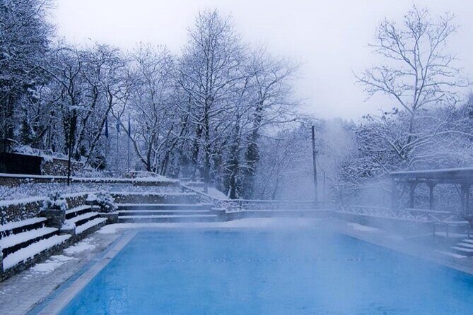 Half-Day Private trip to pozar waterfalls and hot springs - Who Should Consider This Tour?