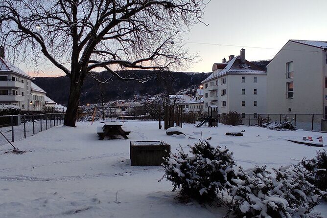 Half-Day Private Walking Tour in Bergen with Dinner and Funicular - Who Should Consider This Tour?