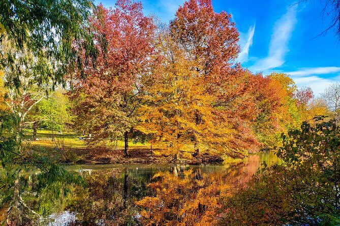 Half-Day Private Walking Tour of Central Park - Detailed Breakdown of the Itinerary