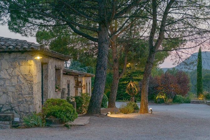 Half Day Private Wine & Oil Tasting Tour near Barcelona with hotel pick up - A comprehensive review of the half-day private wine and olive oil tour