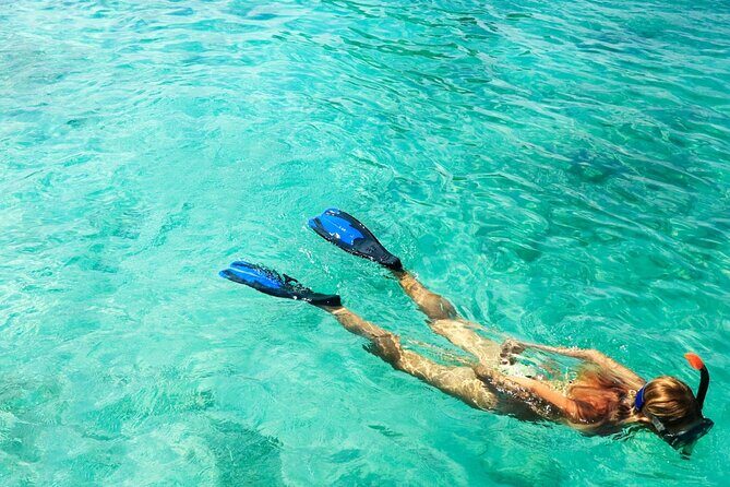 Half-Day Puerto Morelos Snorkeling Experience with Lunch - Who Is This Tour Best For?