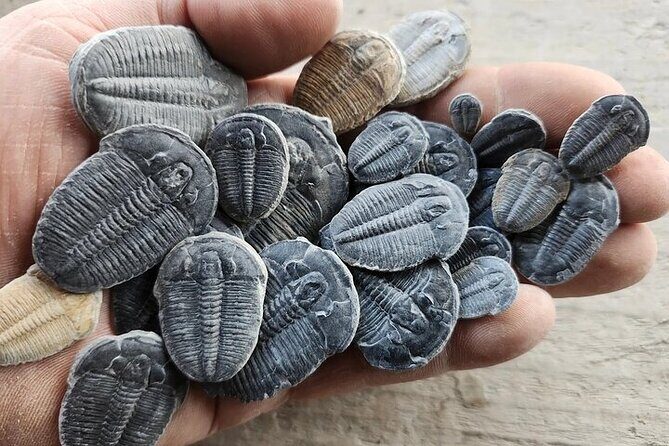 Half Day Quarry Access - Key Points