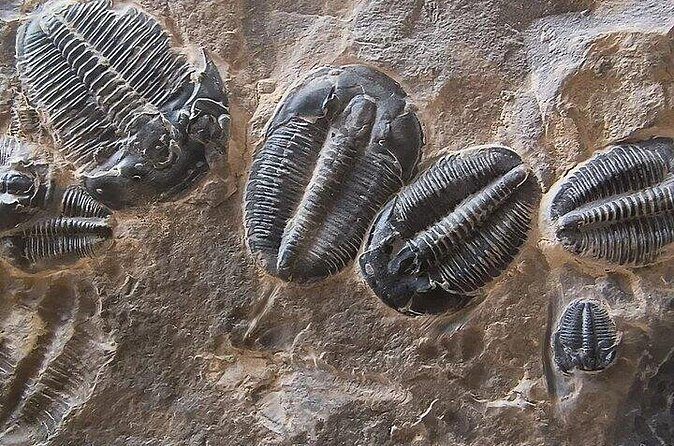 Half Day Quarry Access - The Sum Up