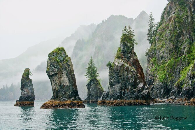 Half-day Resurrection Bay & Wildlife Tour from Seward - Exploring the Wonders of Resurrection Bay: A Passenger’s Perspective