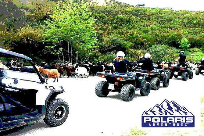 Half-Day Rethymno Quad Safari - FAQ