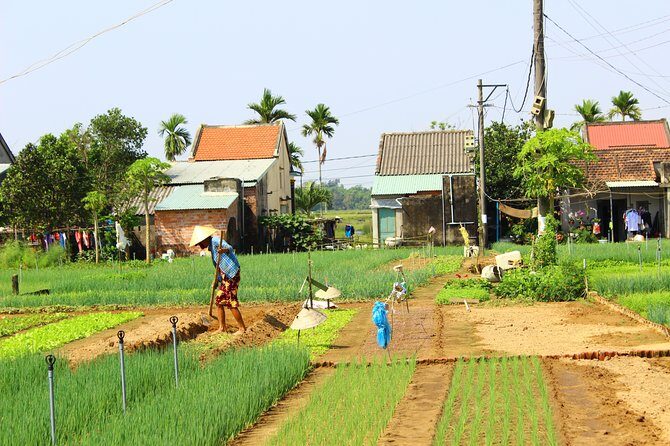 Half Day Ride Bike To The Farm and Cooking Activity with Foot Massage - What Travelers Say