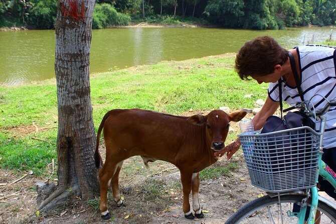 Half Day Ride Bike To The Farm and Cooking Activity with Foot Massage - Final Thoughts