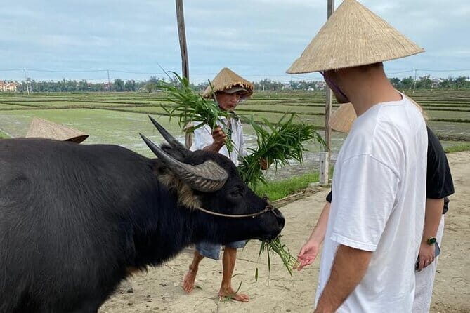 Half-Day Rural Adventure in Hoi An - Exploring the Authentic Countryside of Hoi An: A Review of the Half-Day Rural Adventure