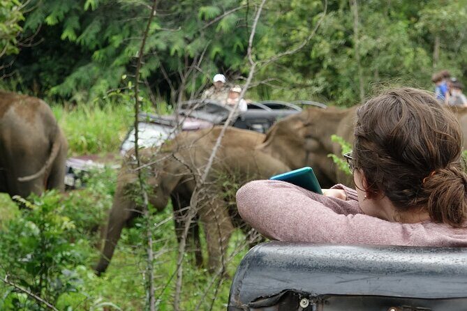 Half Day Safari Guided Tour - FAQ