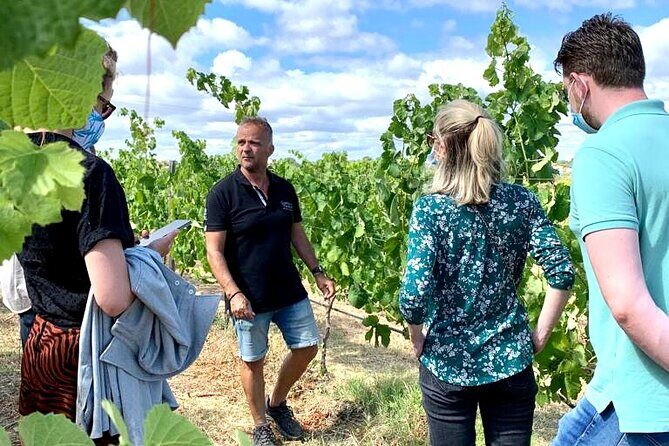 Half Day Safari Tour with Wine Tasting - Practical Aspects: What to Expect