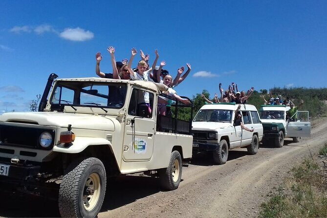 Half Day Safari Tour with Wine Tasting - The Sum Up: Who Should Book This Tour?