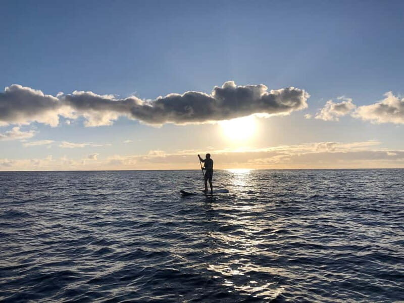 Half Day: Sailing, snorkeling and Stand up Paddle. - An Overview of the Half-Day Azores Water Adventure