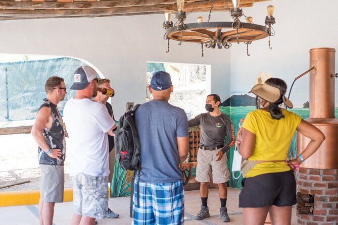 Half-Day San José del Cabo Zip Line and Rappel Adventure - The Bottom Line