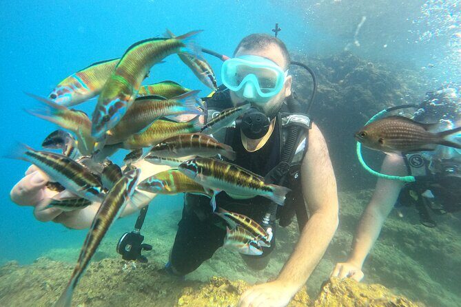 Half Day Scuba Diving @ Duden Waterfalls - Who Should Consider This Experience?
