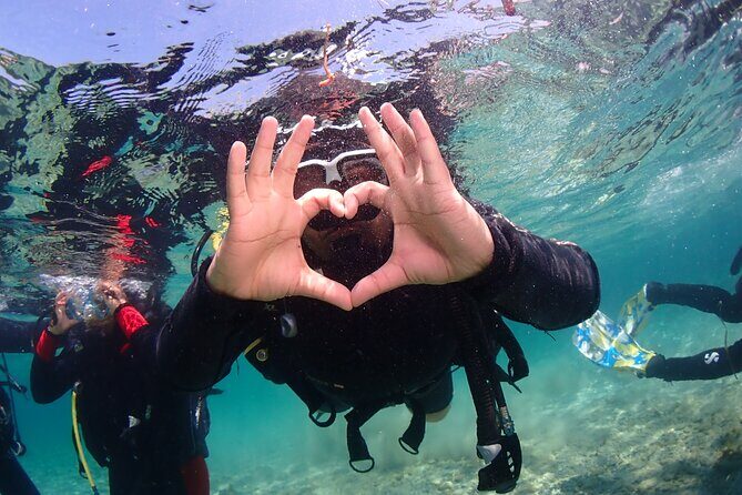 Half-Day Scuba Diving Tour - Discover Scuba Diving! - An In-Depth Look at the Tour Experience