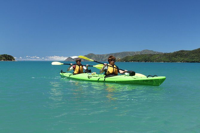 Half day Sea Kayak Guided Tour from Picton - Who Should Consider This Tour?