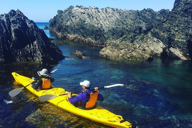 Half Day Sea Kayak Tour from Batemans Bay with Morning Tea - An Introduction to the Experience