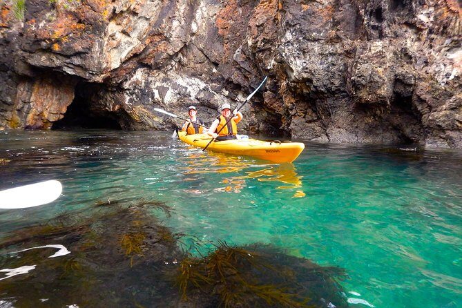 Half Day Sea Kayak Tour from Batemans Bay with Morning Tea - Who Should Consider This Tour?