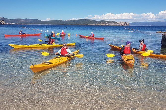 Half Day Sea Kayak Trip - The Authenticity & Value of the Tour