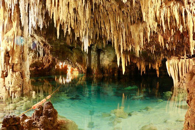 Half-Day Sea Turtle and Cenote Snorkeling Tour from Cancun & Riviera Maya - What’s Included and What’s Not