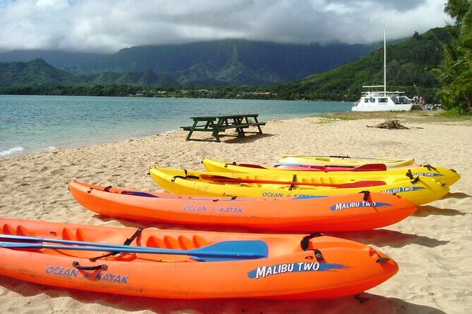 Half Day Secret Island Beach Activities from Kualoa Ranch - The Practical Side: Logistics and Tips