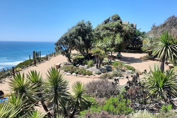 Half Day Self Guided Electric Bike Tour of North San Diego Coast - Practical Details and Considerations