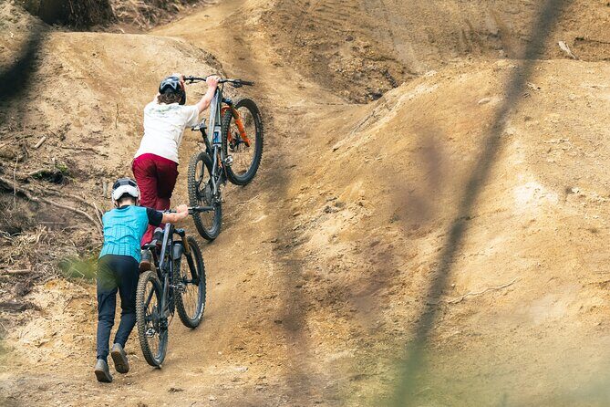 Half-Day Self-Guided Mountain Bike Journey through Whakarewarewa Redwood Forest - Pricing and Value for Money