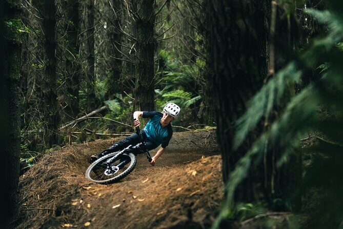 Half-Day Self-Guided Mountain Bike Journey through Whakarewarewa Redwood Forest - Summary