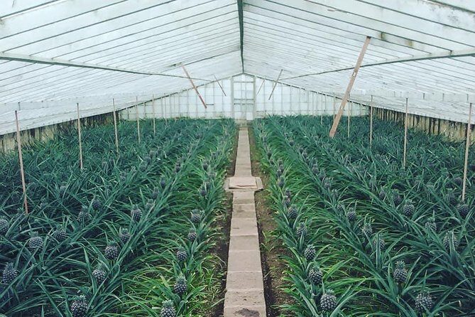 Half Day Seven Cities Tour | Half Day Seven Cities Tour (Min. 2 Persons) - Authenticity and Value