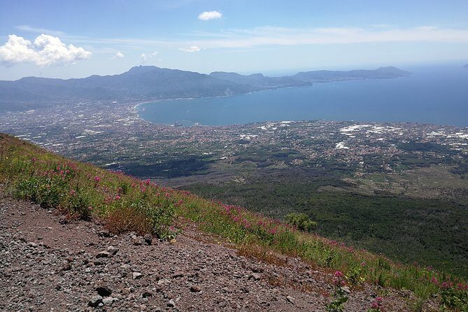Half day shore excursion to Mount Vesuvius (2 hours) - Who Will Love This Tour?