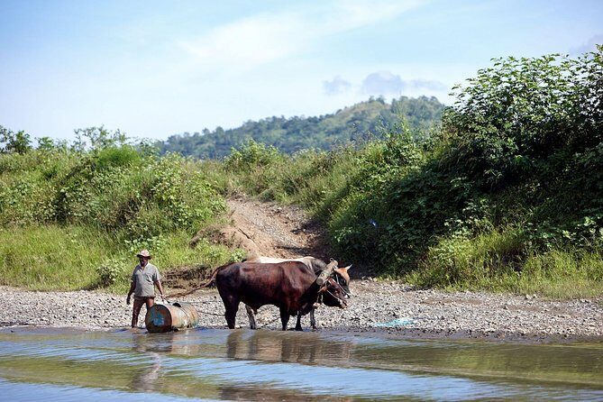 Half Day Sigatoka River Jetboat & Village Tour with Lunch & Transfers - FAQ