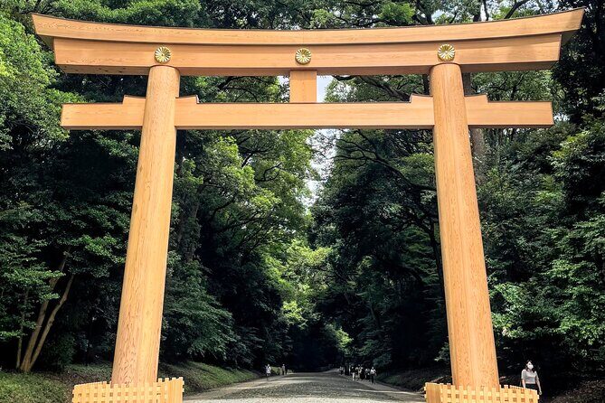 Half Day Sightseeing Tour in Tokyo - Practical Tips for Tour Day