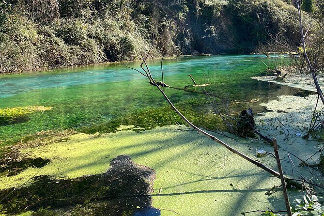 Half-Day Sightseeing Tour to Gjirokastra and Blue Eye - Who Should Consider This Tour?