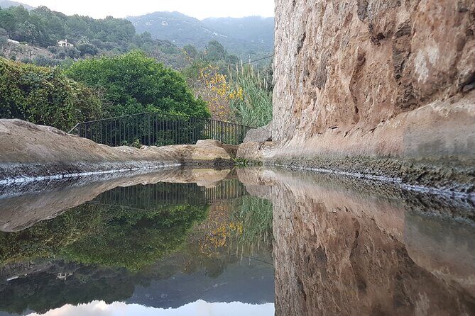 Half Day Slingshot Tour from Paguera - Authentic Experiences from Reviews