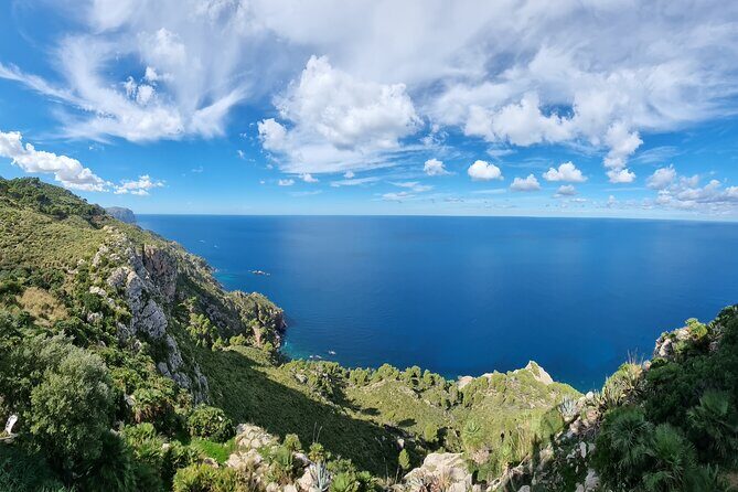 Half Day Slingshot Tour from Paguera - Who Should Consider This Tour?